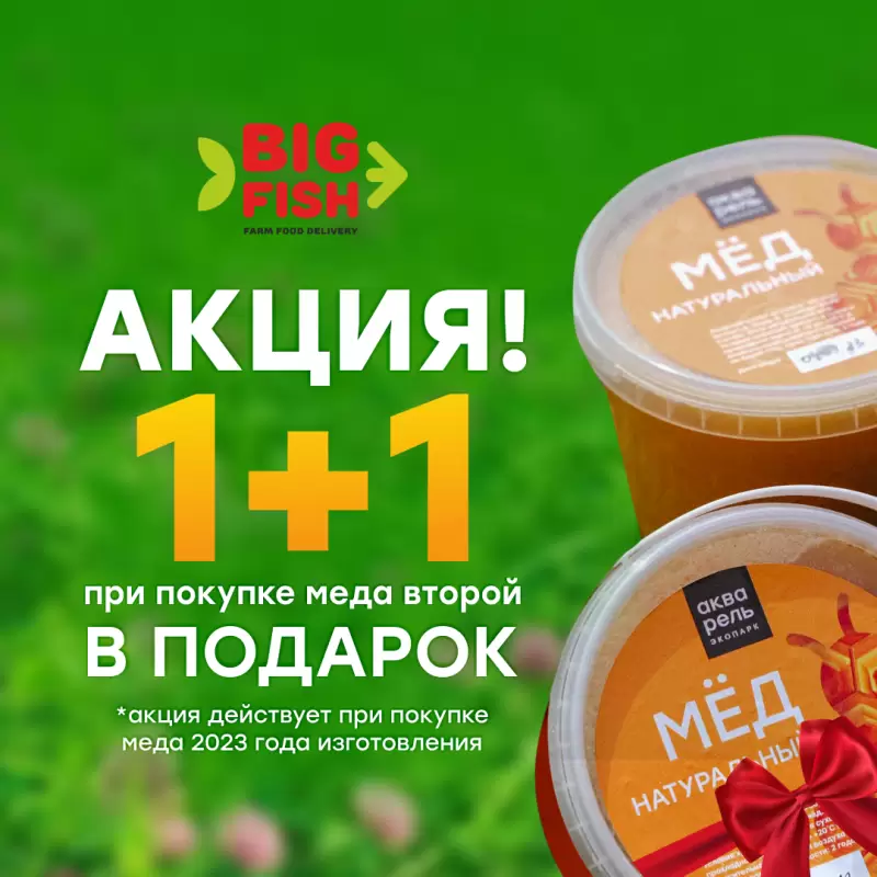 Акция на мед «1+1»