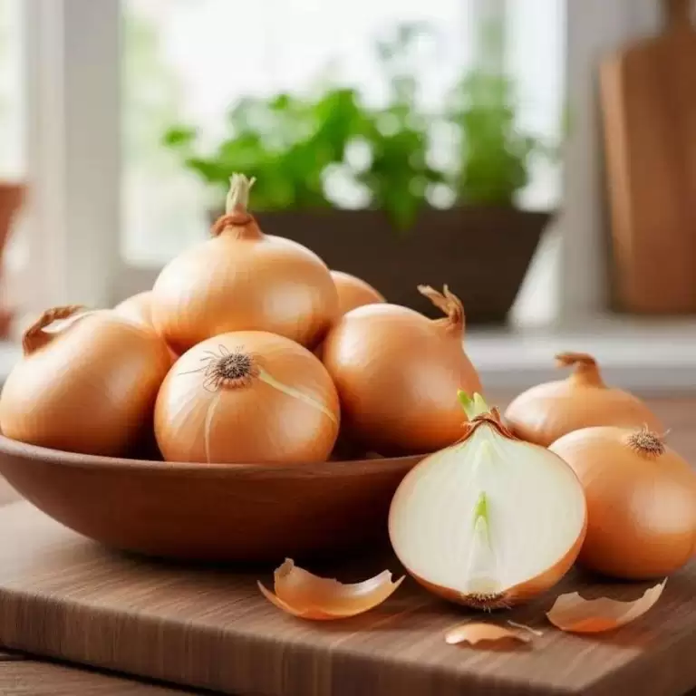 Лук репчатый "Альмира"