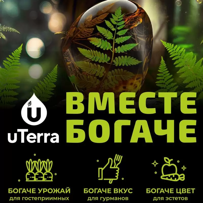 Подготовка к сезону