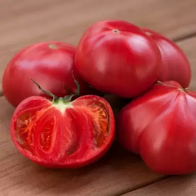 Томат Азербайджан