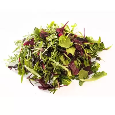 Салат Микс имп.