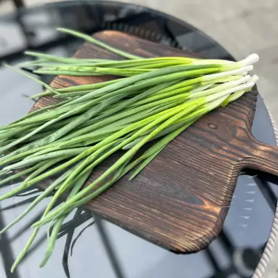 Лук перо зеленый